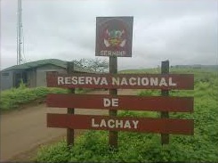 lomas6n